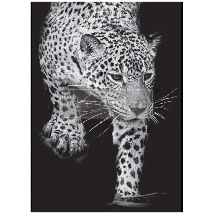 Feline Gaze A1 Decoupage Paper by Redesign With Prima | 23.4” x 33.1”