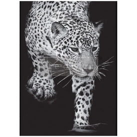 Feline Gaze A1 Decoupage Paper by Redesign With Prima | 23.4” x 33.1”