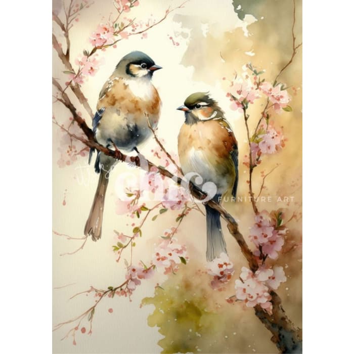 Feathered Friends | It’s So Chic | A0-A4 | Deluxe Decoupage