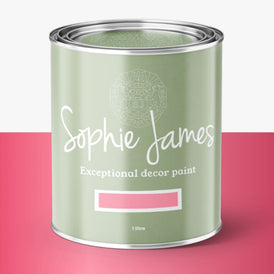 Mineral Paint | Coral Shimmer LIGHT DYNAMICS | Sophie James