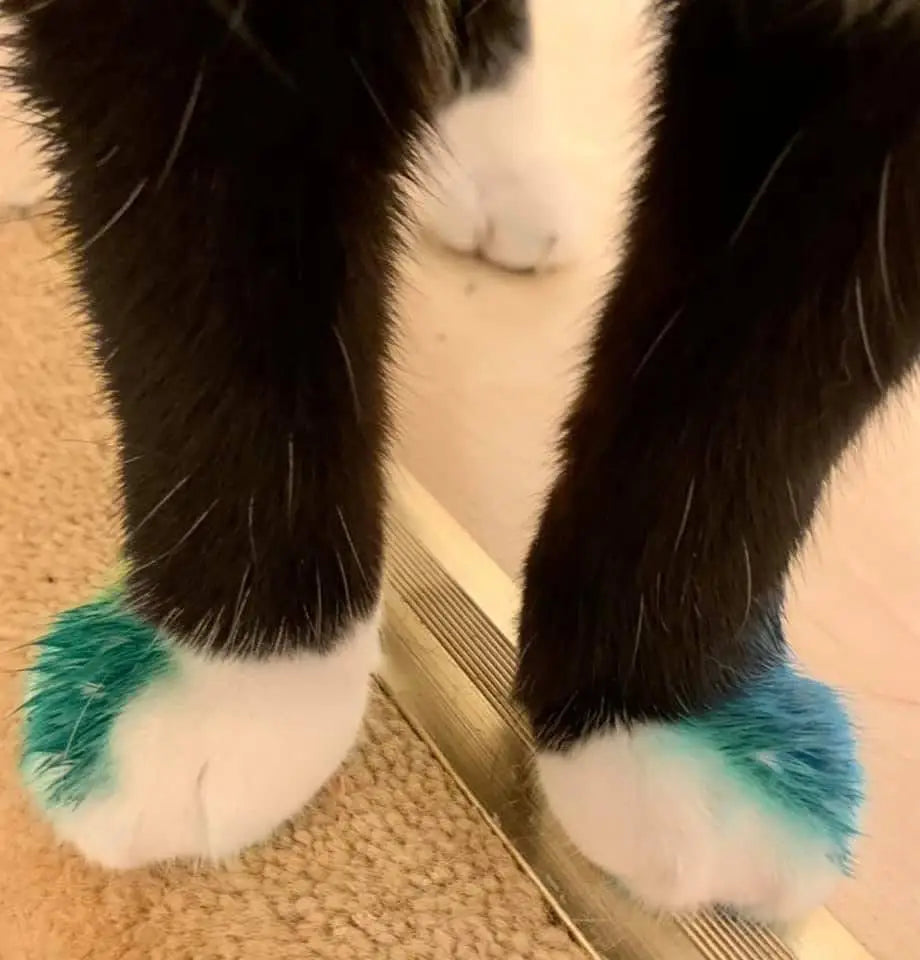 July - Imogen of Coco & Clementine