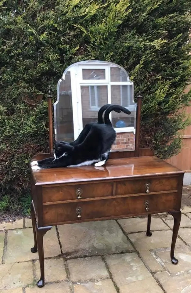 July - Imogen of Coco & Clementine