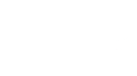 LITTLE WHITE BIRD