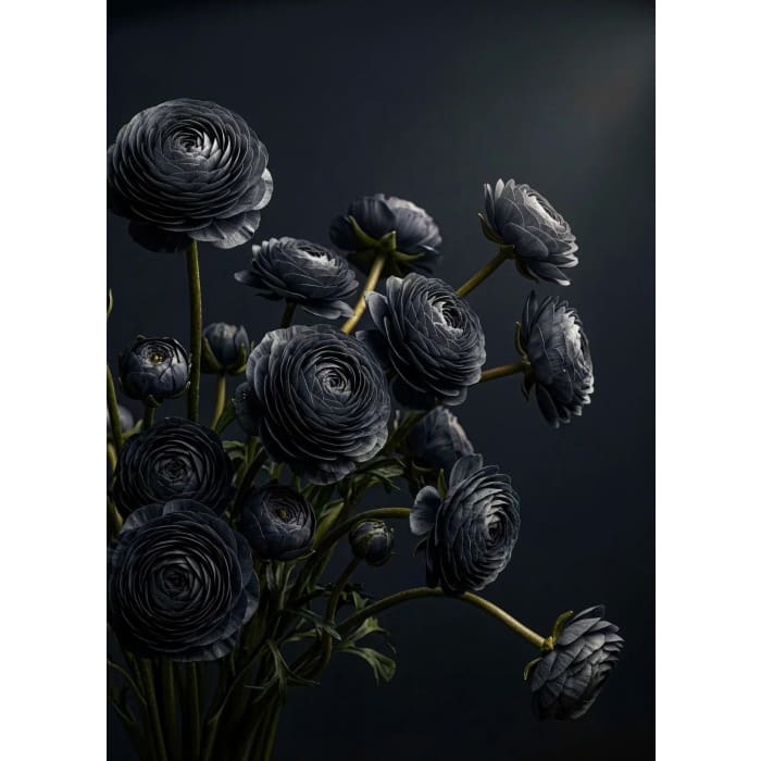 Midnight Ranunculus black floral decoupage paper UK by Mint by Michelle in A1 and A3 sizes