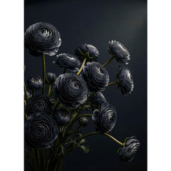 Midnight Ranunculus black floral decoupage paper UK by Mint by Michelle in A1 and A3 sizes