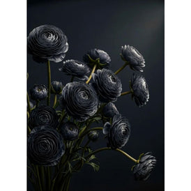 Midnight Ranunculus black floral decoupage paper UK by Mint by Michelle in A1 and A3 sizes