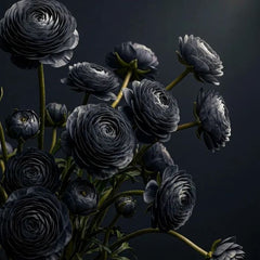 Close-up of Midnight Ranunculus black floral decoupage paper showing floral detail and texture
