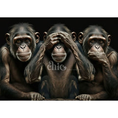 We Three Monkeys Decoupage Paper by It’s So Chic Furniture Art | A1/A2/A3