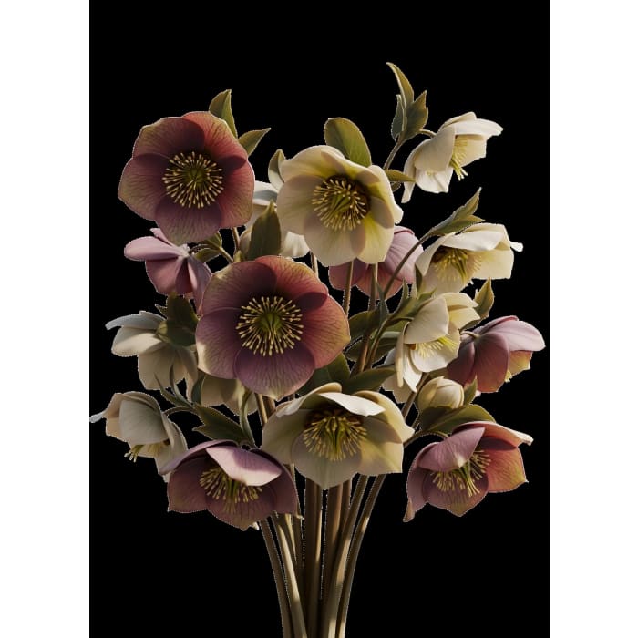 Still in Bloom black floral decoupage paper UK by Mint by Michelle in A1 and A3 sizes