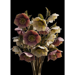 Still in Bloom black floral decoupage paper UK by Mint by Michelle in A1 and A3 sizes