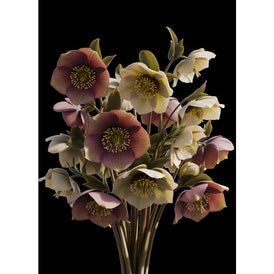 Still in Bloom black floral decoupage paper UK by Mint by Michelle in A1 and A3 sizes