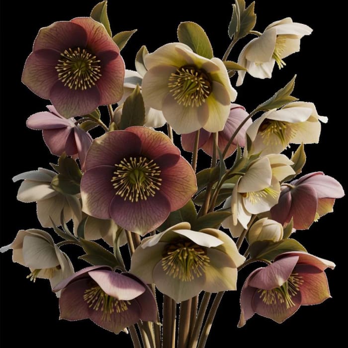 Close-up of Still in Bloom decoupage paper showing pink and white flowers on a dark black background