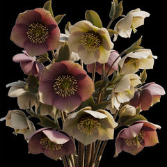Close-up of Still in Bloom decoupage paper showing pink and white flowers on a dark black background