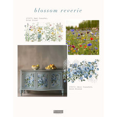 Blush Blossoms Middy Furniture Transfer by Redesign With Prima | 8.5” x 11” | Blossom Reverie Collection