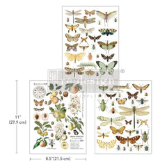 Bug Whisperer Middy Transfer by Redesign With Prima | 8.5” x 11”