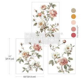 Creamy Blush Blooms Middy Furniture Transfer by Redesign With Prima | 8.5” x 11” | Blossom Reverie Collection