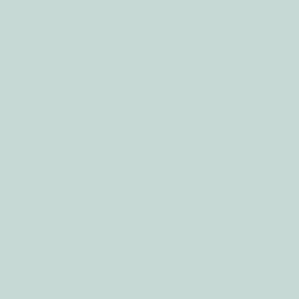 Mineral Paint | Palest Green | Bunty’s Paints | 100ml