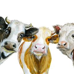 Close-up of Jersey cow faces and detailing on Three Wise Cows decoupage paper