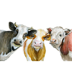 Three Wise Cows A1 decoupage paper featuring three Jersey cows staring forward on a white background