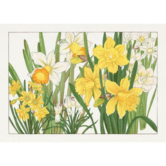 Yellow Flowers A1 decoupage paper featuring yellow and white daffodils on a white background by Three Yellow Goats