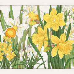 Close-up of yellow and white daffodil artwork on Yellow Flowers A1 decoupage paper