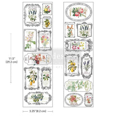 Vintage Botanical Labels Luxe Transfer | Fleur De Frame | Redesign with Prima Decal