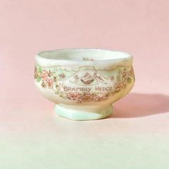 Vintage Royal Doulton Brambly Hedge Miniatures Bone China Sugar Bowl in Original Box