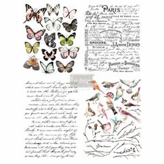 Decor Transfer - Parisian Butterflies | Redesign With Prima 
