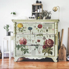 Decor Transfer - Vintage Botanical | Redesign With Prima | 