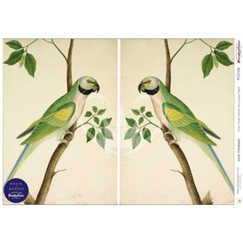 Decoupage Paper | Exotic Parakeets | The House of Mendes | Posh Chalk | A1 or A3 | Tropical Bird Print, Parakeet Decor