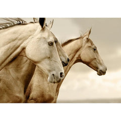 Decoupage Paper | Sepia Horses | MINT by Michelle | A3 or A1