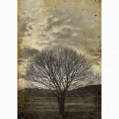 Decoupage Paper | Sepia Tree | MINT by Michelle | A3 or A1