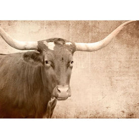 Decoupage Paper | Texas Longhorn | MINT by Michelle | A3 or A1