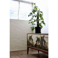 Decoupage Paper | The Tropics | MINT by Michelle | A3 or A1 | Jungle Furniture, Furniture Decoupage, Tropical Decoupage Paper