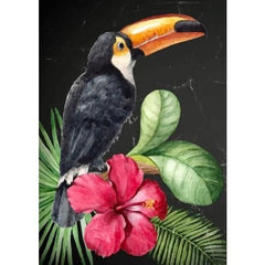 Decoupage Paper | Toucan | MINT by Michelle | A3 or A1