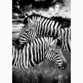 Decoupage Paper | Zebras | MINT by Michelle | A3 or A1
