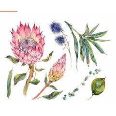 Dry Rub Transfer - Australian Wildflowers 2 - Proteas | 