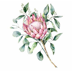 Dry Rub Transfer - Australian Wildflowers 2 - Proteas | 