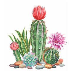 Dry Rub Transfer, Cactii, Aussie Decor Transfers, Cactus Furniture Transfers Rub on