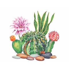 Dry Rub Transfer, Cactii, Aussie Decor Transfers, Cactus Furniture Transfers Rub on