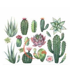 Dry Rub Transfer, Cactii, Aussie Decor Transfers, Cactus Furniture Transfers Rub on