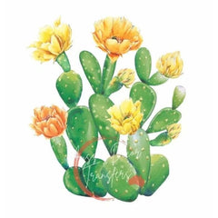 Dry Rub Transfer, Cactii, Aussie Decor Transfers, Cactus Furniture Transfers Rub on