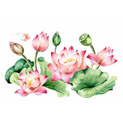 Dry Rub Transfer - Koi and Lotus | Aussie Decor Transfers | 
