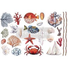 NEW | Prima Transfer | Amazing Sea Life | Redesign With Prima | 6” x 12” | Fish Transfers, Sea Life Decals, Fish Wall Stickers