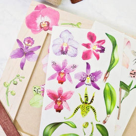 Prima Transfer - Sunset Tropics | Redesign With Prima | Pink Flower Decals - Floral Furniture Transfers