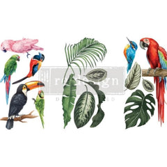 Tropical Birds | Redesign With Prima | 6” x 12” | Furniture Transfers, Parrot Transfer, Toucan Decal, Bird Transfers, Small Transfers